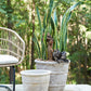 Monteclair Planter By Accent Decor | Planters, Troughs & Cachepots | Modishstore - 6
