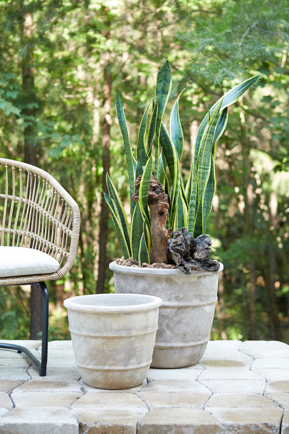 Monteclair Planter By Accent Decor | Planters, Troughs & Cachepots | Modishstore - 6