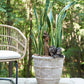 Monteclair Planter By Accent Decor | Planters, Troughs & Cachepots | Modishstore - 8