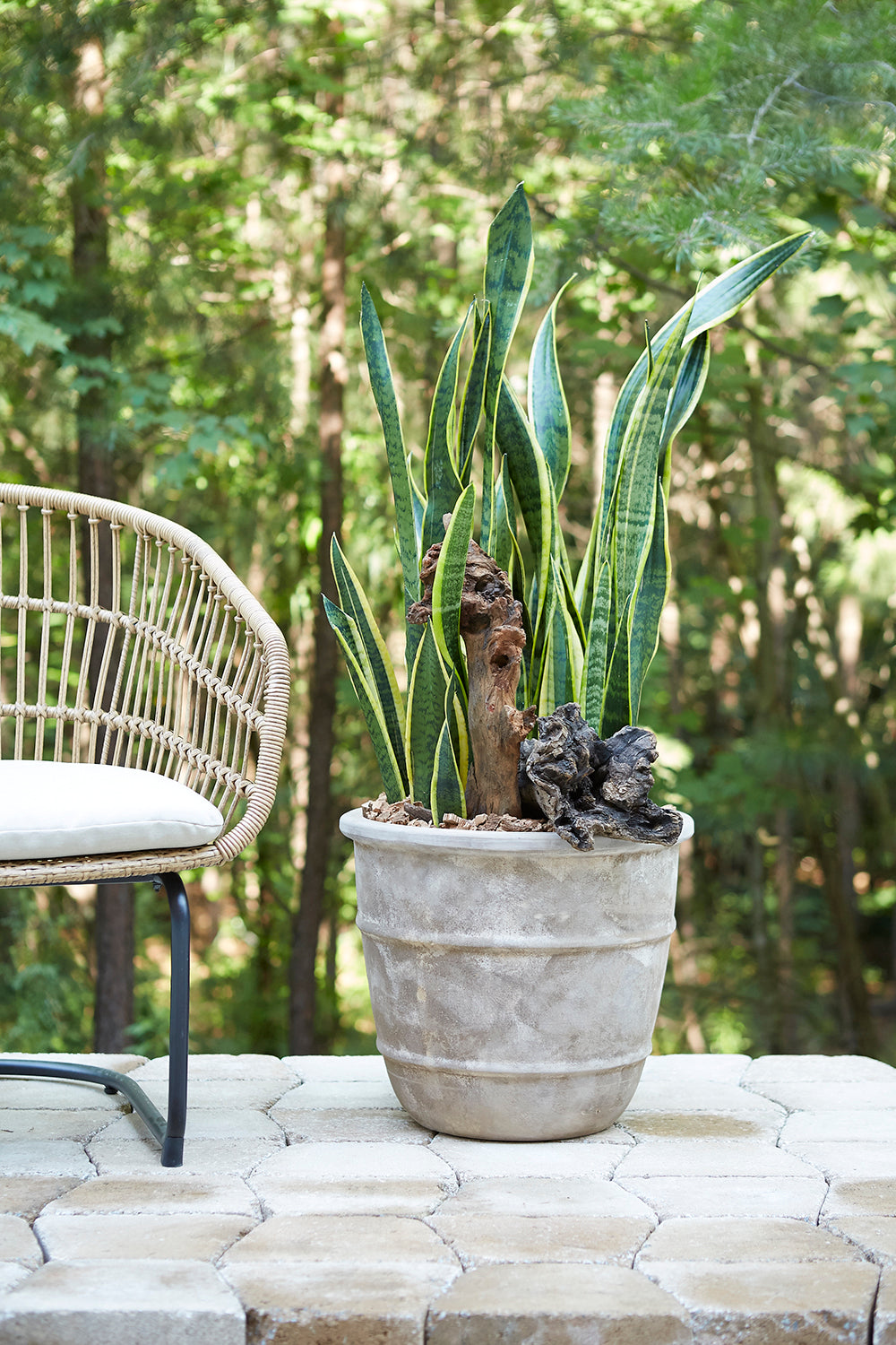 Monteclair Planter By Accent Decor | Planters, Troughs & Cachepots | Modishstore - 8