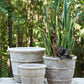 Monteclair Planter By Accent Decor | Planters, Troughs & Cachepots | Modishstore - 10