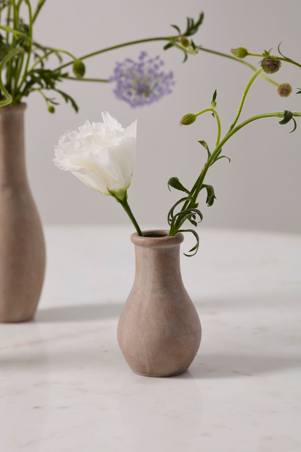 Holden Budvase Set of 8 By Accent Decor | Vases | Modishstore - 7