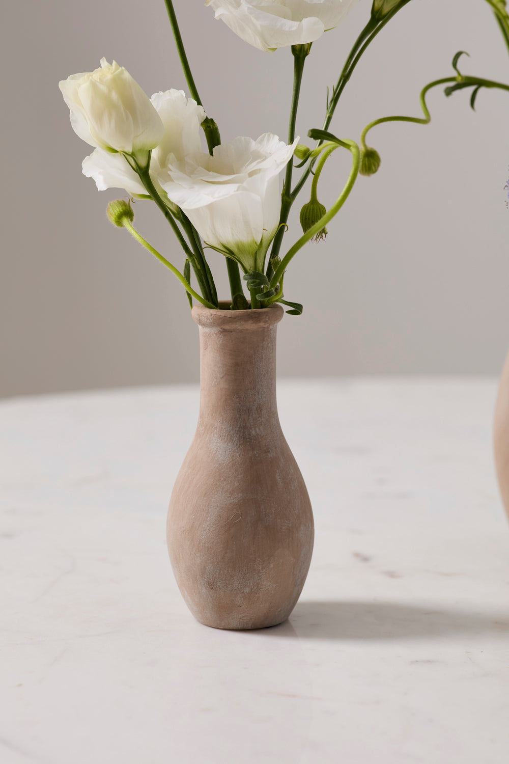Holden Budvase Set of 8 By Accent Decor | Vases | Modishstore - 9