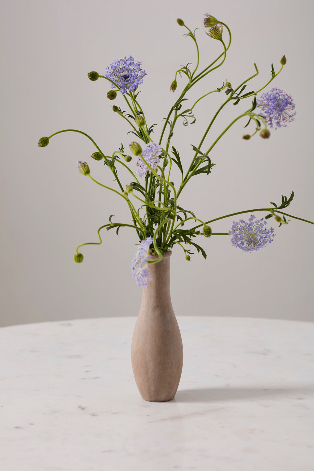Holden Budvase Set of 8 By Accent Decor | Vases | Modishstore - 11