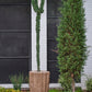 Ceres Planter By Accent Decor | Planters, Troughs & Cachepots | Modishstore - 4