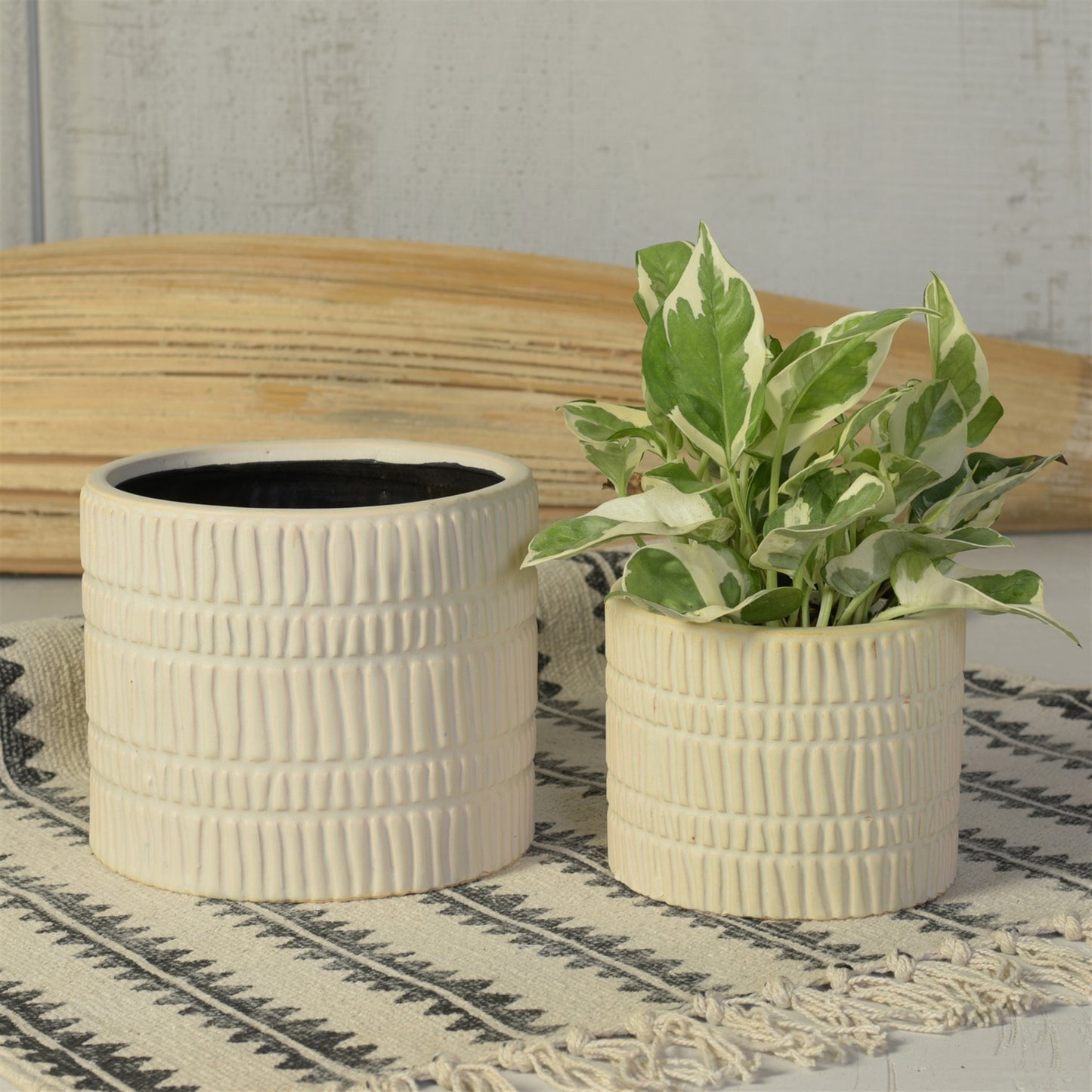 Moto Cachepot, Ceramic - Large - Matte White Set Of 4 By HomArt | Planters, Troughs & Cachepots | Modishstore - 2