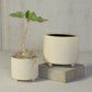 Simon Footed Planter, Ceramic, White - Large - Matte White Set Of 4 By HomArt | Planters, Troughs & Cachepots | Modishstore - 3