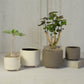 Simon Footed Planter, Ceramic, White - Large - Matte White Set Of 4 By HomArt | Planters, Troughs & Cachepots | Modishstore - 4