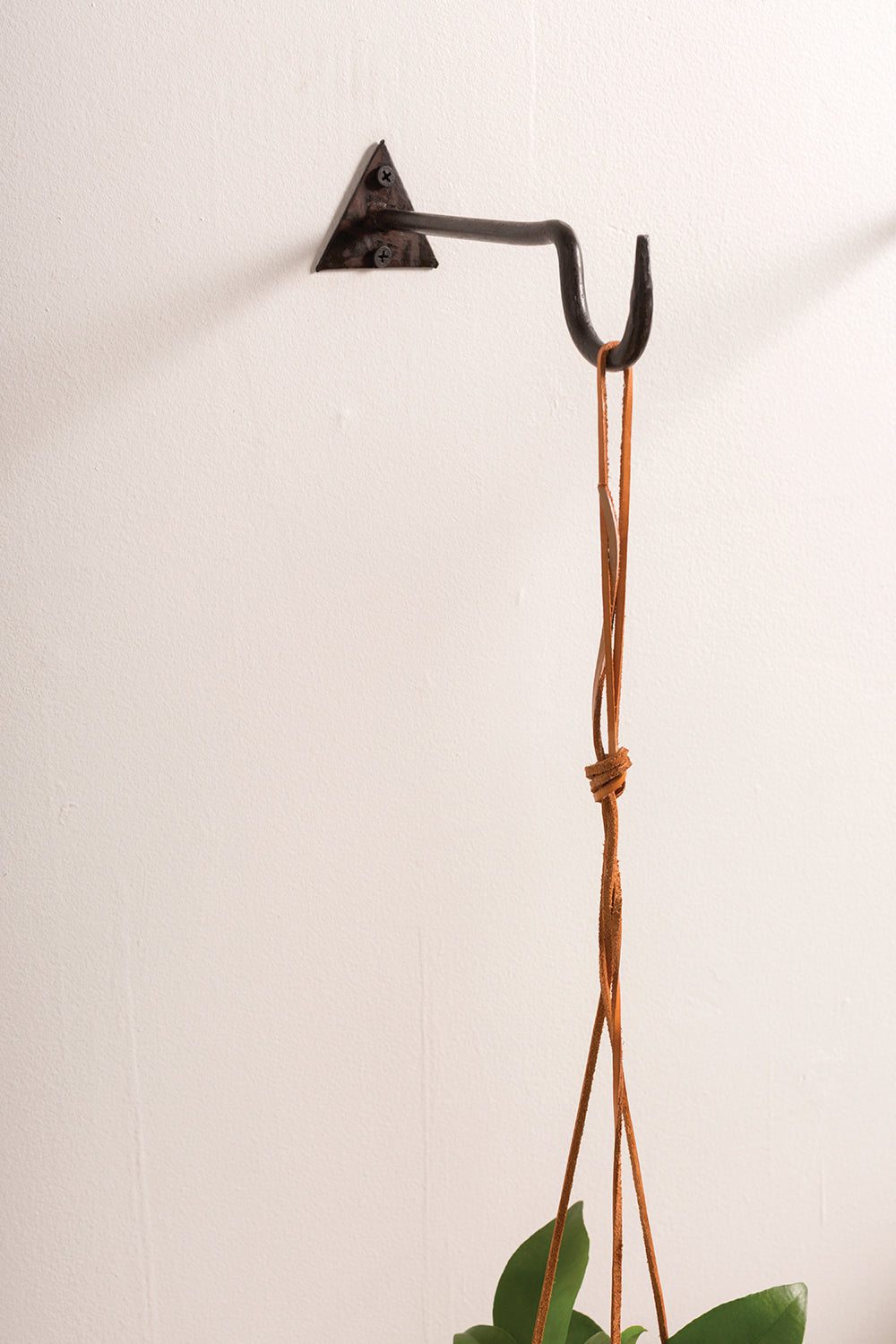 Chet Wall Hanger Set of 8 By Accent Decor | Coat Racks | Modishstore - 6