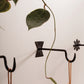 Chet Wall Hanger Set of 8 By Accent Decor | Coat Racks | Modishstore - 10