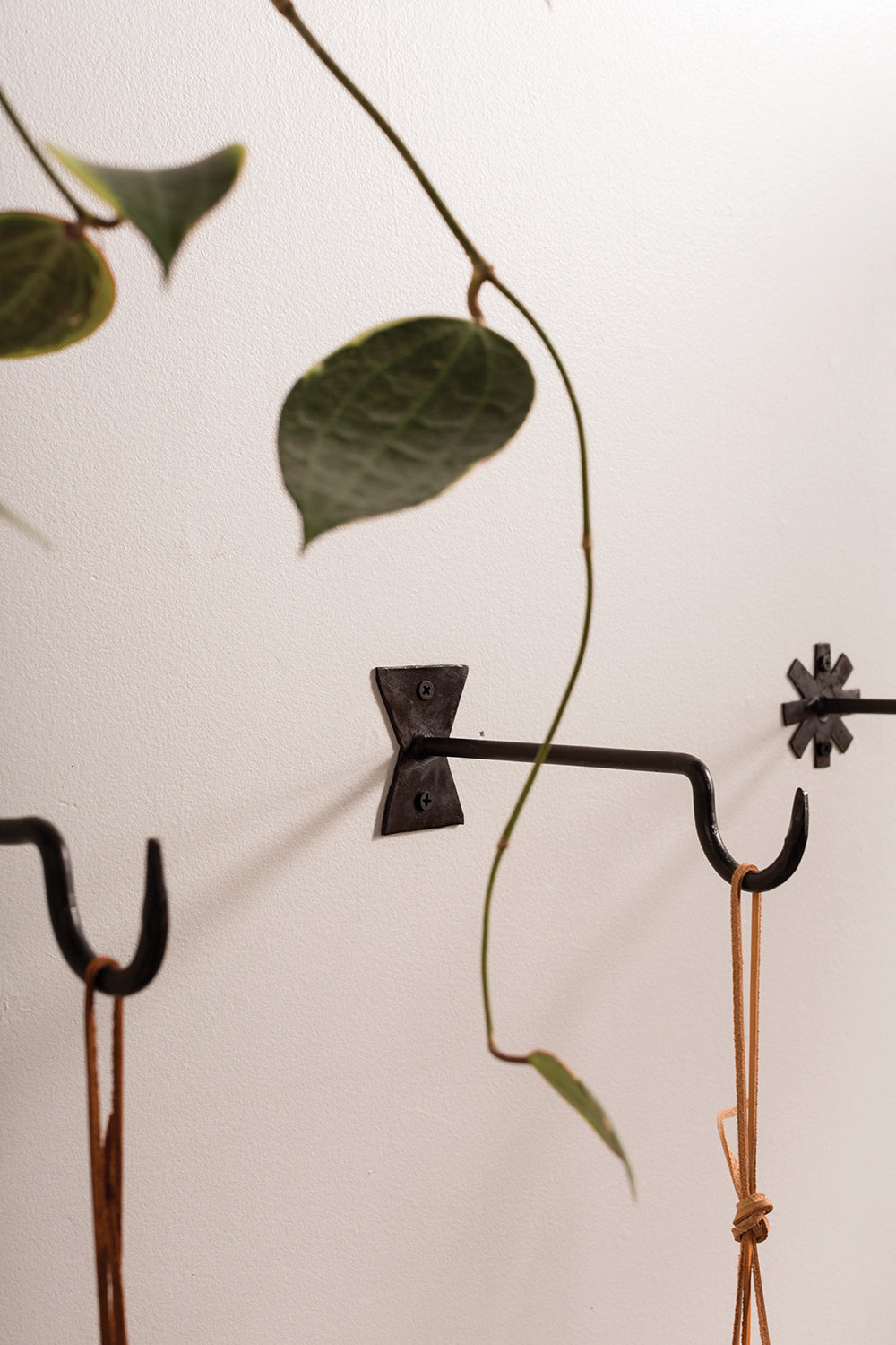 Chet Wall Hanger Set of 8 By Accent Decor | Coat Racks | Modishstore - 10