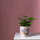 Victorian Love Pot Set of 8 By Accent Decor | Planters, Troughs & Cachepots | Modishstore - 7
