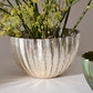 Monarch Bowl Set of 8 By Accent Decor | Decorative Bowls | Modishstore - 12