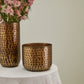 Alchemy Collection Set of 4 By Accent Decor | Stands | Modishstore - 9