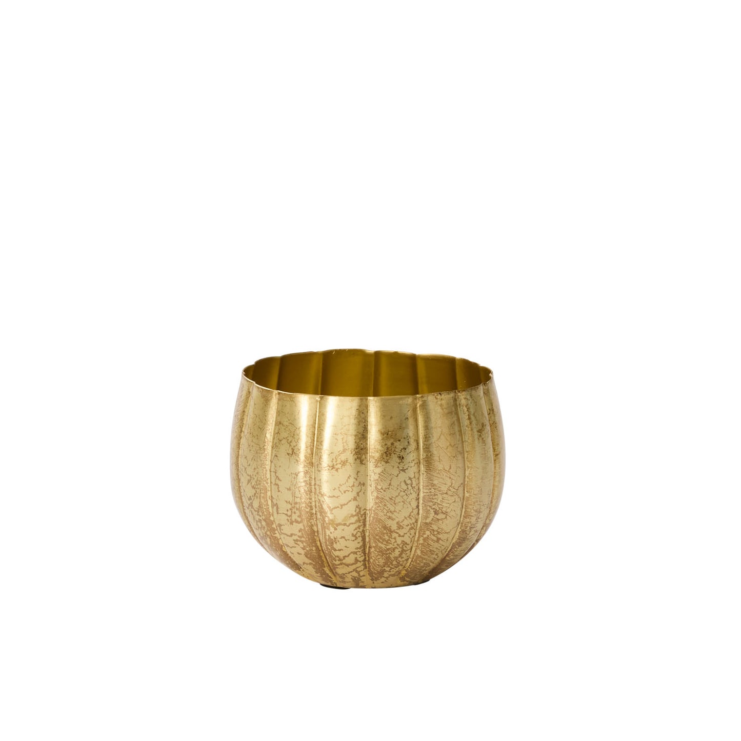 Ravi Pot Set of 8 By Accent Decor | Wall Decor | Modishstore - 2