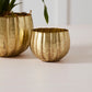 Ravi Pot Set of 8 By Accent Decor | Wall Decor | Modishstore - 7