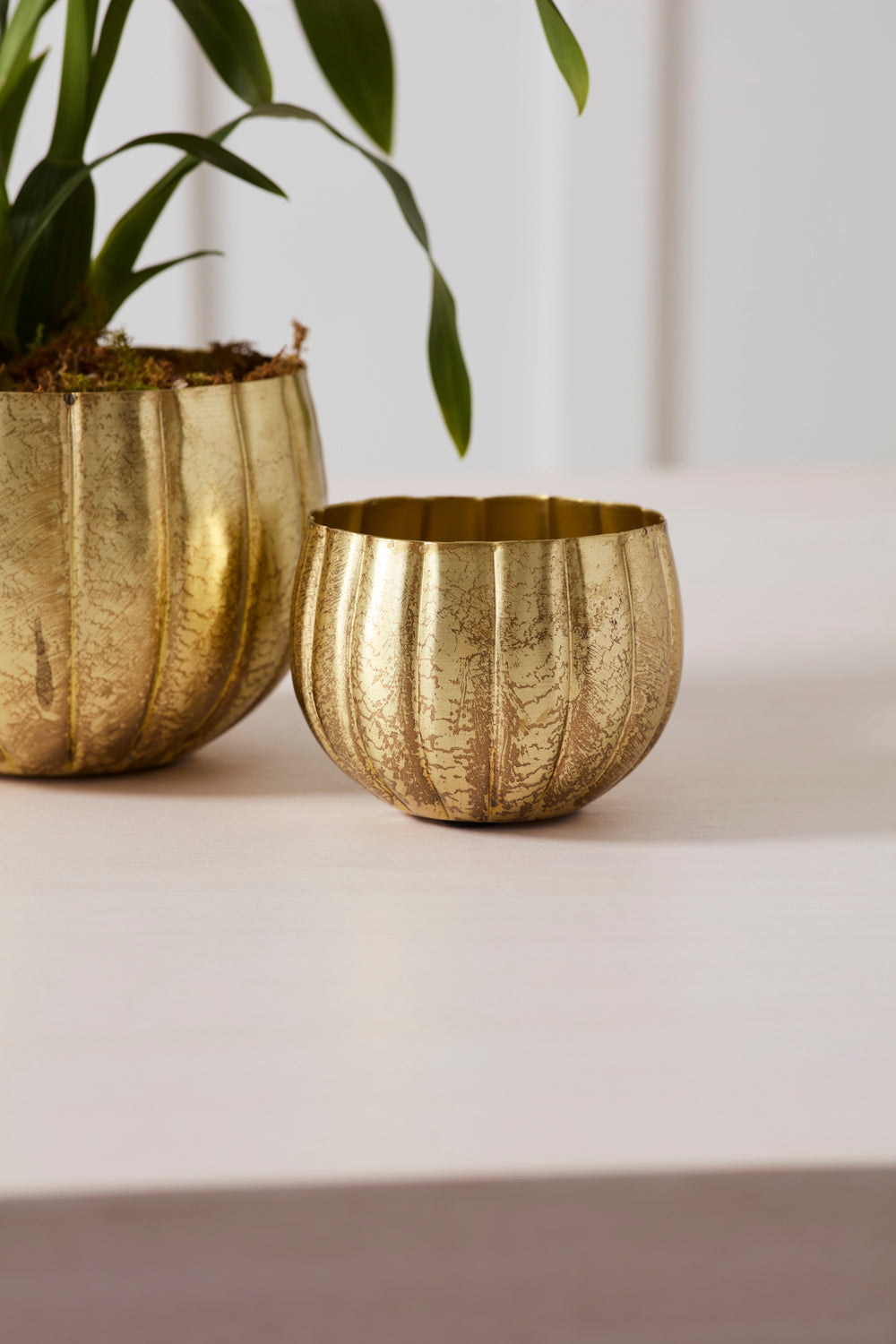 Ravi Pot Set of 8 By Accent Decor | Wall Decor | Modishstore - 7