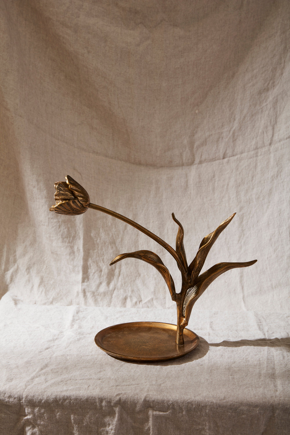 Craning Tulip Sculpture Set of 2 By Accent Decor | Sculptures | Modishstore - 7