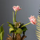 Budding Flower Sculpture Set of 2 By Accent Decor | Sculptures | Modishstore - 6