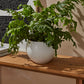 Mayu Pot Set of 2 By Accent Decor | Planters, Troughs & Cachepots | Modishstore - 4
