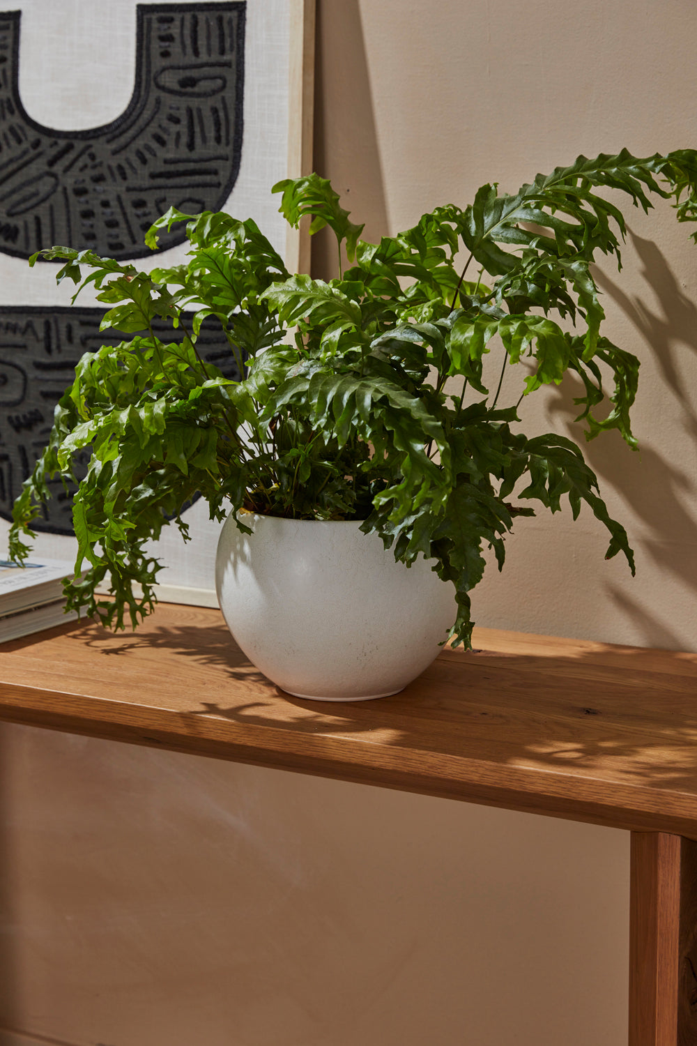 Mayu Pot Set of 2 By Accent Decor | Planters, Troughs & Cachepots | Modishstore - 4