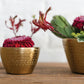 Jema Bowl Set of 8 By Accent Decor | Decorative Bowls | Modishstore - 8