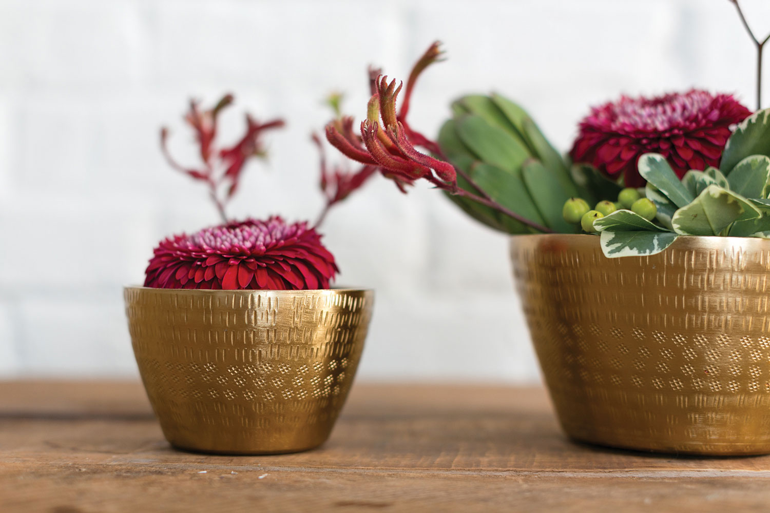 Jema Bowl Set of 8 By Accent Decor | Decorative Bowls | Modishstore - 8