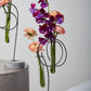 Loopty Loop Stand Set of 8 By Accent Decor | Vases | Modishstore - 8