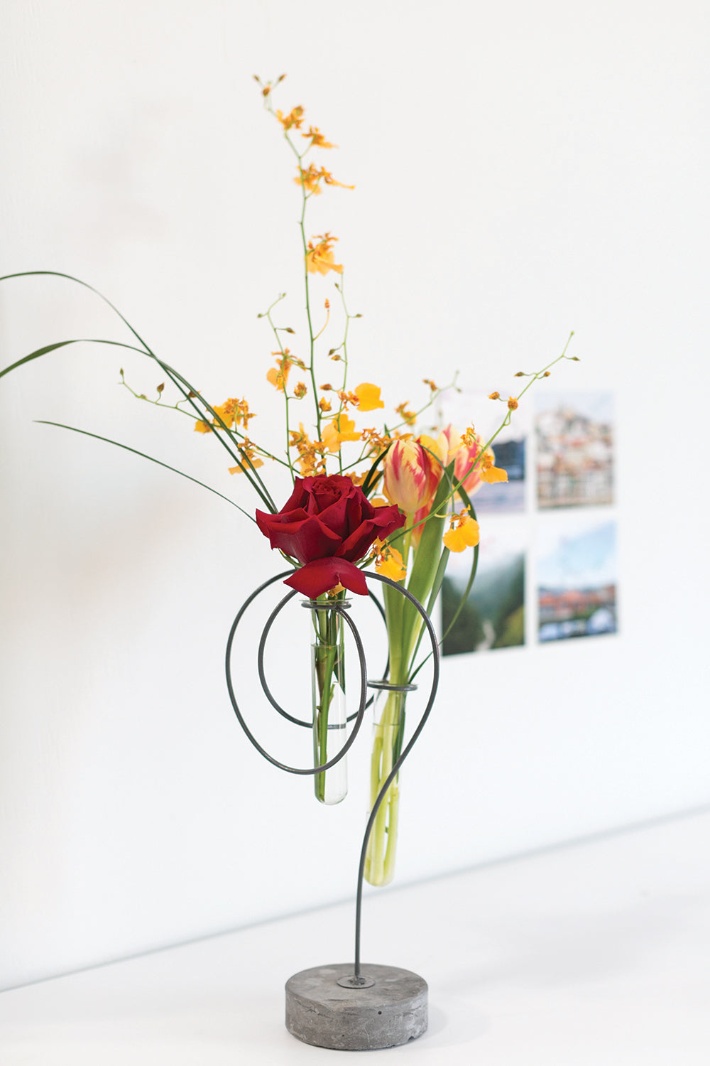 Loopty Loop Stand Set of 8 By Accent Decor | Vases | Modishstore - 9