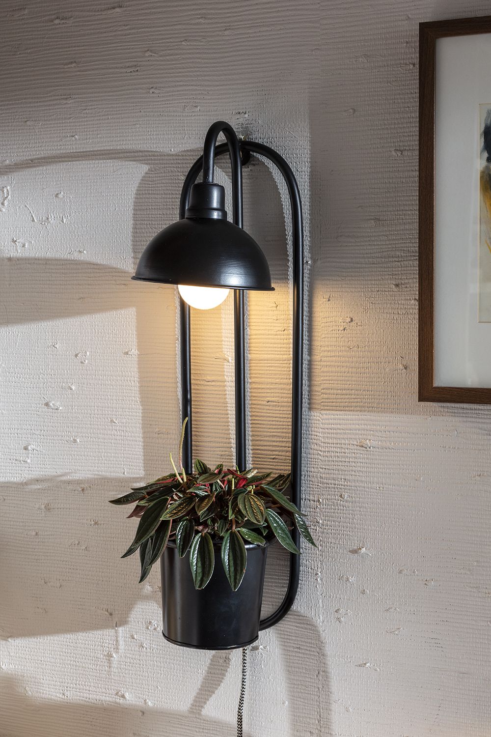 Kira Grow Light Hanging Wall Planter 6.5" x  25" By Accent Decor | Planters, Troughs & Cachepots | Modishstore - 1