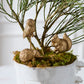 Scurry Plant Sticks Set of 6 By Accent Decor | Planters, Troughs & Cachepots | Modishstore - 4