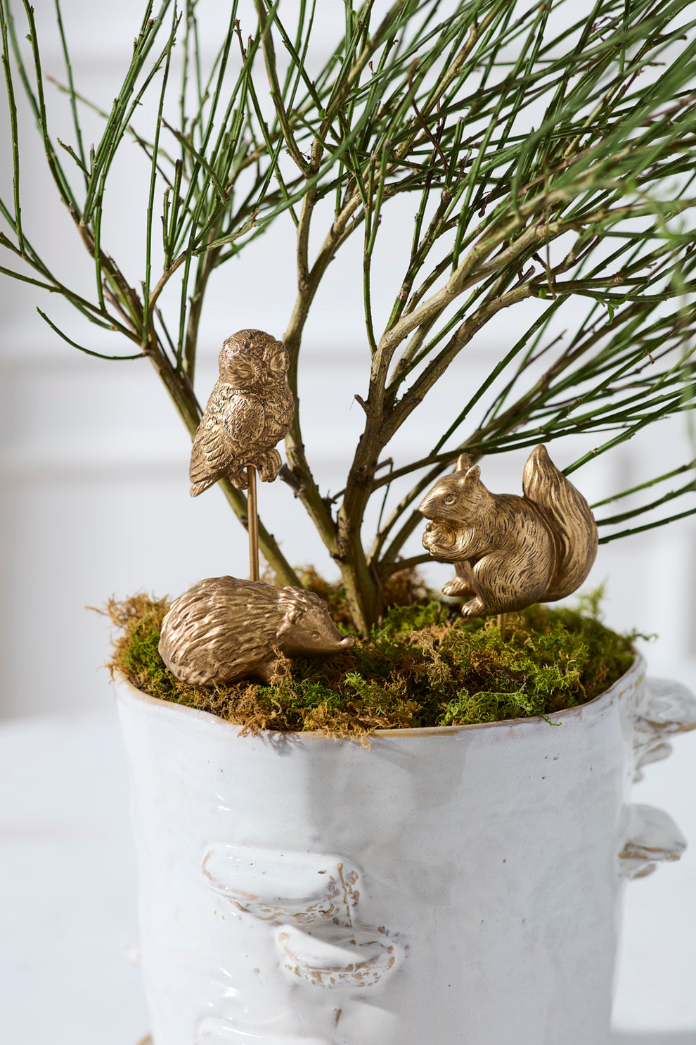 Scurry Plant Sticks Set of 6 By Accent Decor | Planters, Troughs & Cachepots | Modishstore - 4