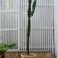 Vesta Pot By Accent Decor | Stands | Modishstore - 4