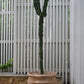 Vesta Pot By Accent Decor | Stands | Modishstore - 6