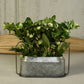 Napa Vase, Metal & Zinc - Oval, Large - Zinc Set Of 4 By HomArt | Planters, Troughs & Cachepots | Modishstore - 4