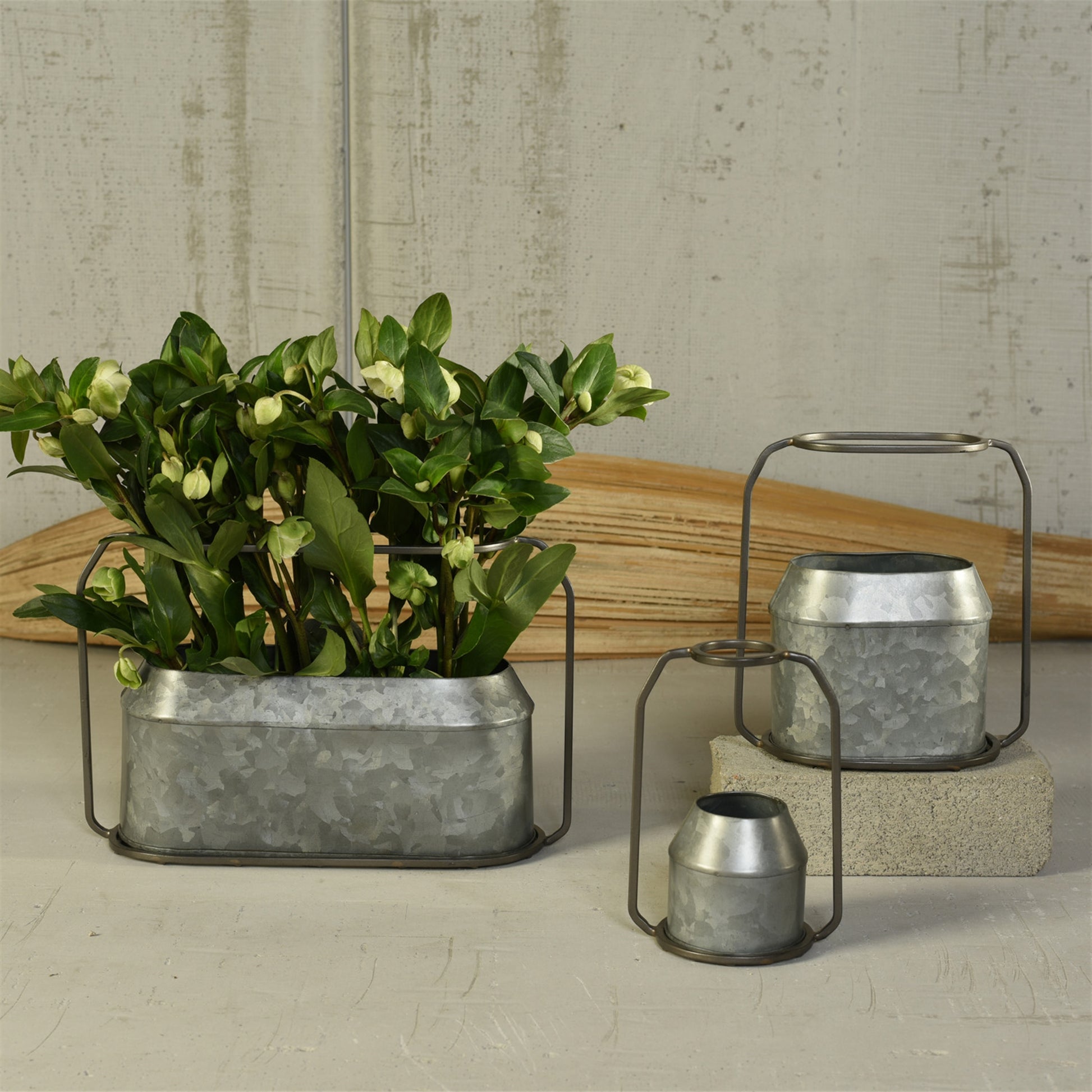Napa Vase, Metal & Zinc - Oval, Large - Zinc Set Of 4 By HomArt | Planters, Troughs & Cachepots | Modishstore - 5