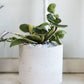 Delphi Pot Set of 8 By Accent Decor | Planters, Troughs & Cachepots | Modishstore - 11