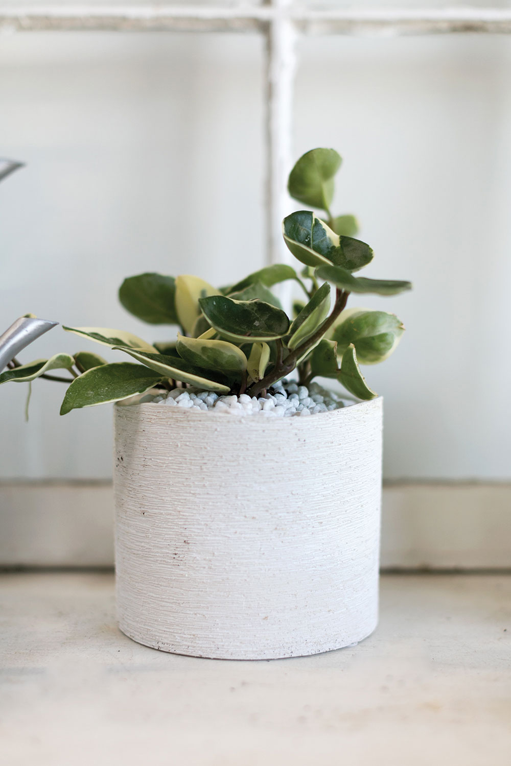 Delphi Pot Set of 8 By Accent Decor | Planters, Troughs & Cachepots | Modishstore - 11