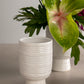 Monaco Vase Set of 4 By Accent Decor | Vases | Modishstore - 6