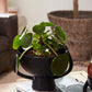 Mitla Footed Compote Set of 4 By Accent Decor | Planters, Troughs & Cachepots | Modishstore - 6