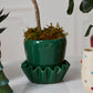 Lorelai Pot with Saucer Set of 2 By Accent Decor | Planters, Troughs & Cachepots | Modishstore - 4