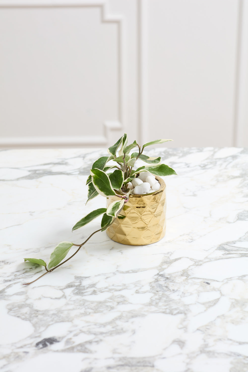 Architect Collection Set of 8 By Accent Decor | Planters, Troughs & Cachepots | Modishstore - 5