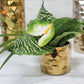 Architect Collection Set of 8 By Accent Decor | Planters, Troughs & Cachepots | Modishstore - 6
