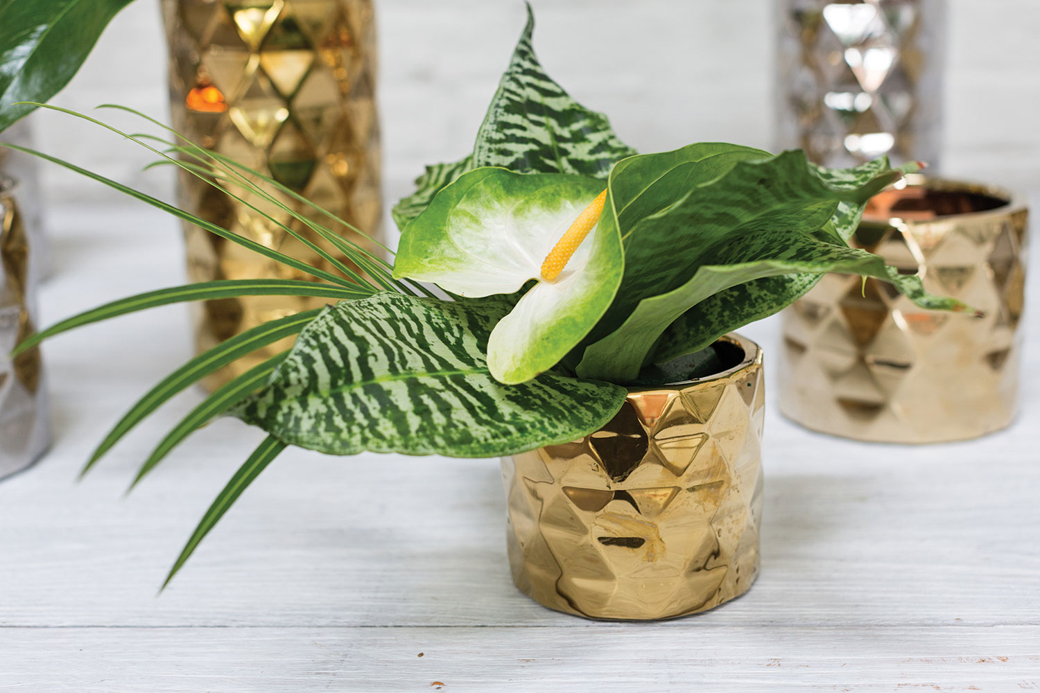 Architect Collection Set of 8 By Accent Decor | Planters, Troughs & Cachepots | Modishstore - 6