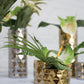 Architect Collection Set of 8 By Accent Decor | Planters, Troughs & Cachepots | Modishstore - 7