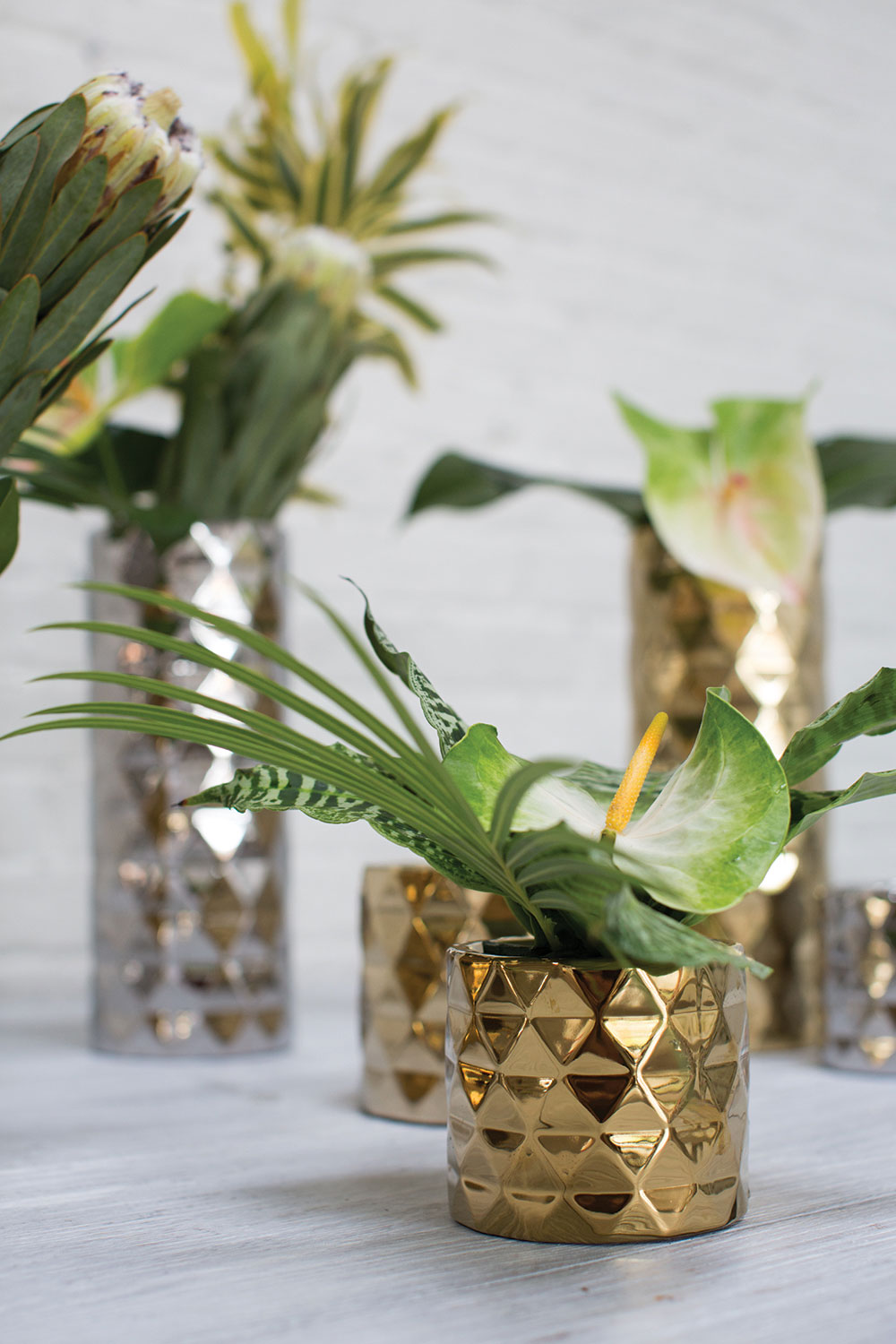 Architect Collection Set of 8 By Accent Decor | Planters, Troughs & Cachepots | Modishstore - 7