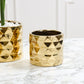 Architect Collection Set of 8 By Accent Decor | Planters, Troughs & Cachepots | Modishstore - 9
