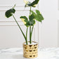 Architect Collection Set of 8 By Accent Decor | Planters, Troughs & Cachepots | Modishstore - 12