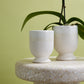 Laney Vase Set of 8 By Accent Decor | Vases | Modishstore - 7