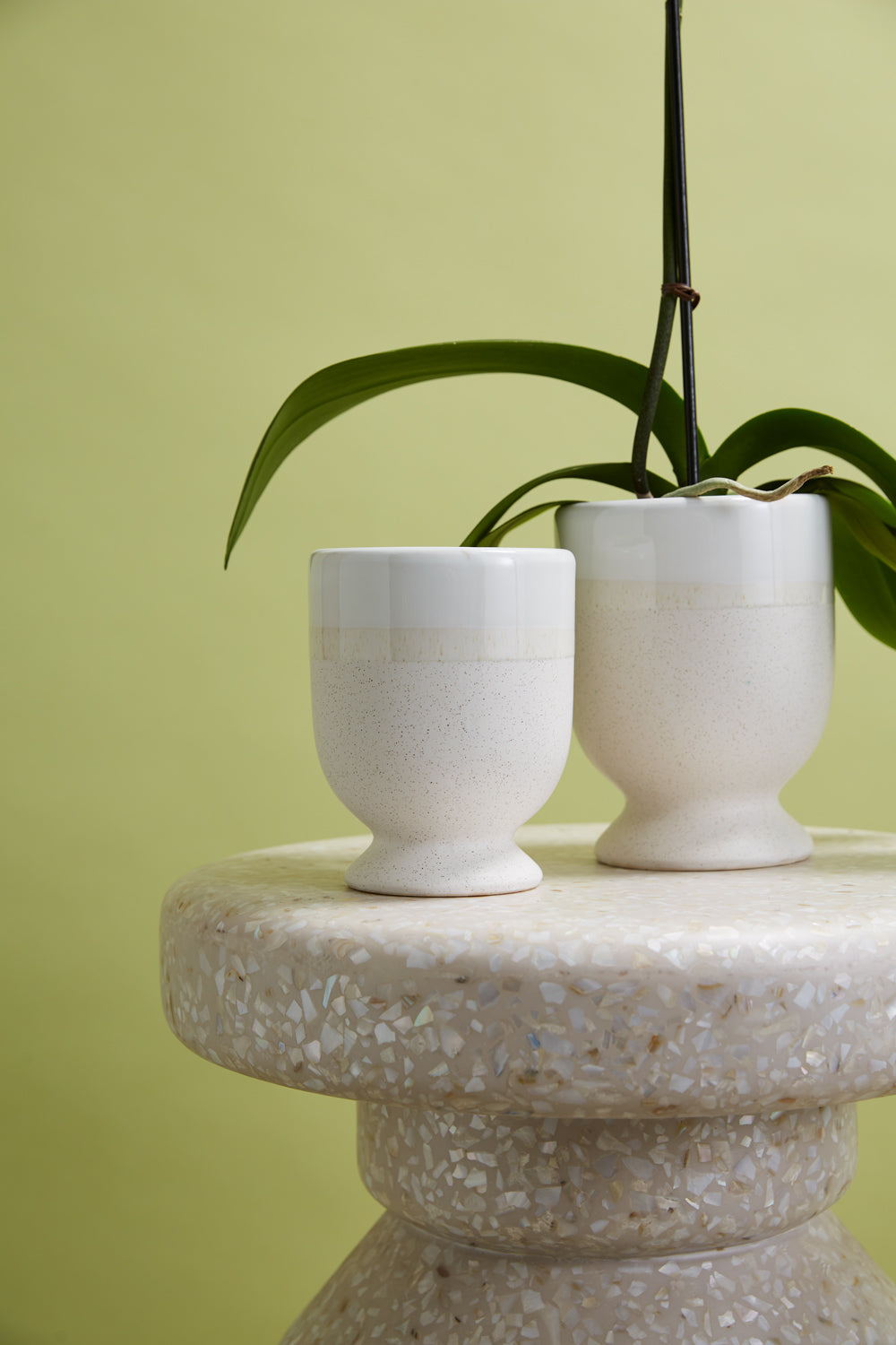 Laney Vase Set of 8 By Accent Decor | Vases | Modishstore - 7
